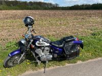 Honda VT 600 Shadow Nordrhein-Westfalen - Gelsenkirchen Vorschau