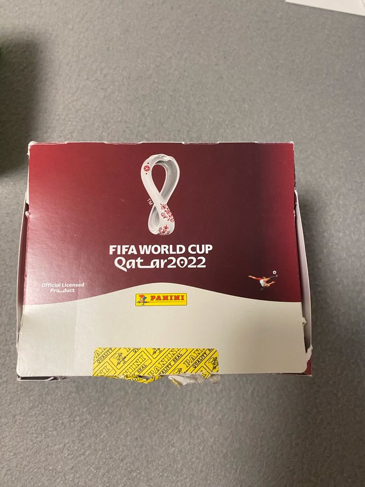 FIFA World Cup , WM 2022 in Augsburg