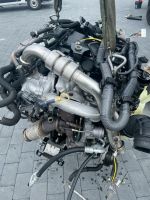 Motor Nissan NAVARA Mercedes X 2.3D YS23C276 YS23C270 190PS KOMPL Nordrhein-Westfalen - Leverkusen Vorschau