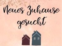 Wohnung/Haus  zur Miete in Bonn/Röttgen  gesucht Bonn - Röttgen Vorschau