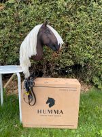 Hobby Horse Humma Rheinland-Pfalz - Ransbach-Baumbach Vorschau