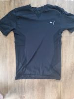 Puma tshirt Wandsbek - Hamburg Marienthal Vorschau