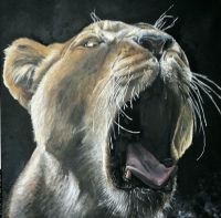 Acrylbild "Lioness 2020" Hessen - Kelkheim Vorschau