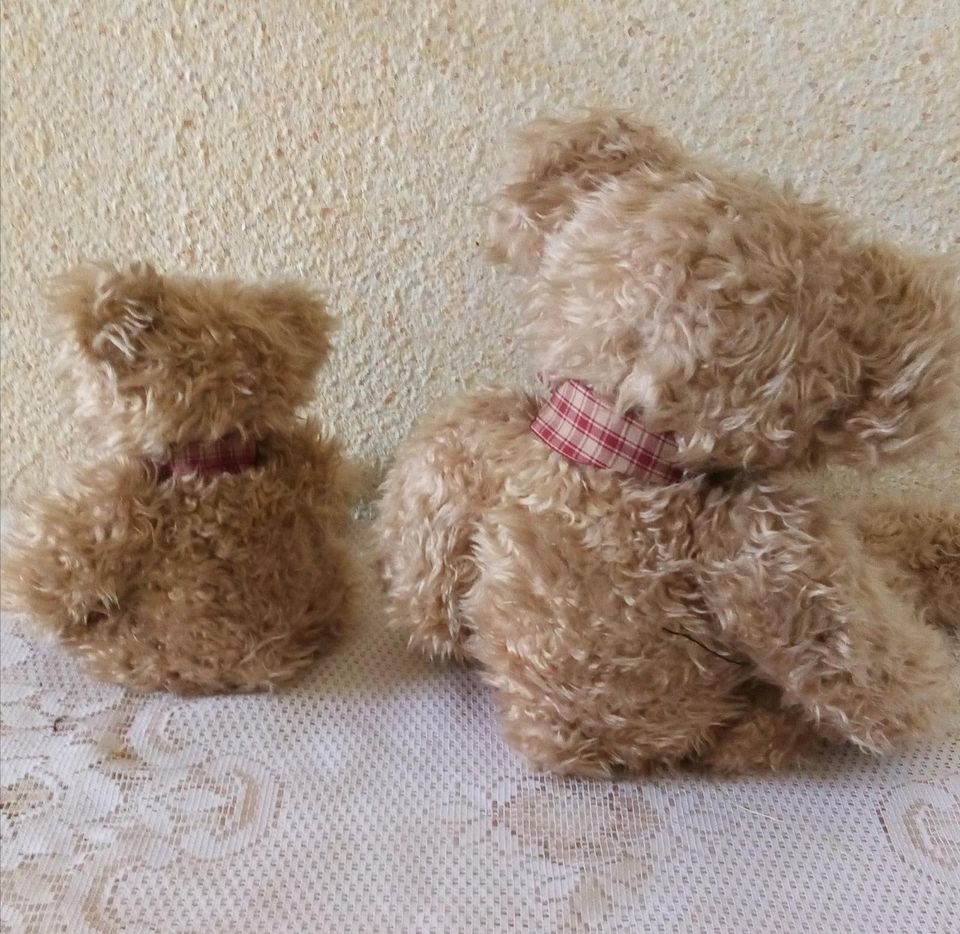2 süße Teddybären suchen ein neues Zuhause in Burgdorf