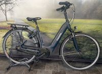 E-BIKE! Gazelle Arroyo C7+ Elite Elektrofahrrad mit 500 Wh Nordrhein-Westfalen - Gronau (Westfalen) Vorschau