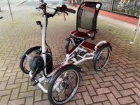 Pfiff Pfautec Vierrad E-Bike Tibo 4 Niedersachsen - Werlte  Vorschau