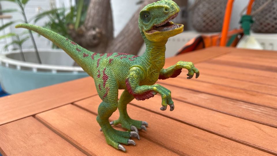 Dinosaurier Velociraptor von Schleich, Modell 14530 in Düsseldorf