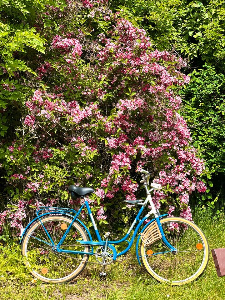 Fahrrad Mifa 26“ Damenrad IFA DDR Drahtesel in Schmalkalden