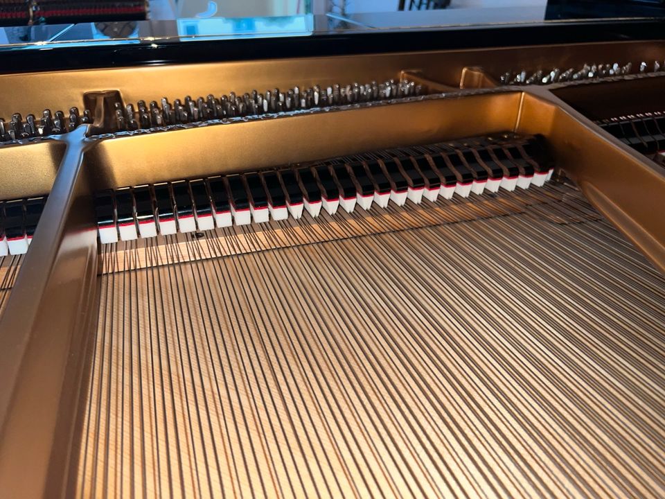 Flügel Steinway & Sons O Welte in München