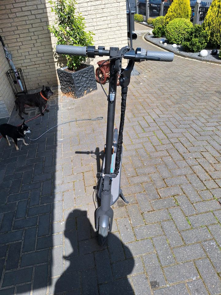 Segway ninebot max g30d 2 e scooter erst 123km gefahren in Braunschweig