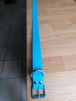 Biothane Halsband blau breit Nordrhein-Westfalen - Ahaus Vorschau