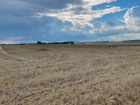 Fahrervermietung Mietfahrer Aushilfsfahrer Landwirtschaft Brandenburg - Herzberg/Elster Vorschau