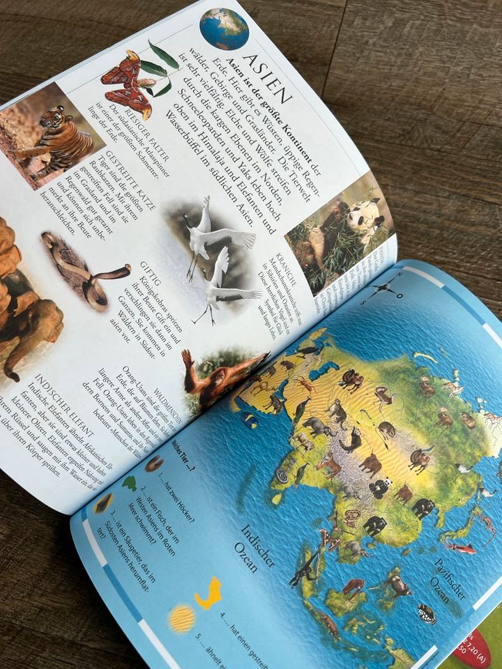 Kinder Tieratlas Buch Bilderbuch lernen Wissen Welt in Altenholz