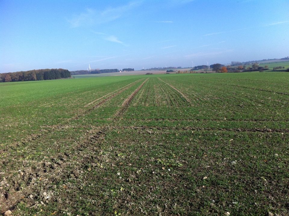 Landkreis Soest: Etwa 1 ha Ackerland zu verkaufen in Warstein