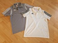 Adidas Poloshirts/ T-Shrit GR. 164 im guten Zustand Berlin - Tempelhof Vorschau