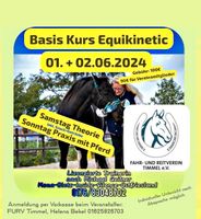 Tageskurs Equikinetic im RTC Timmel, Fahr.-Reitverein Timmel e.V. Niedersachsen - Emden Vorschau