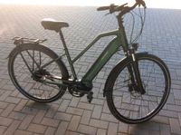 E- bike Raleigh  28" Sachsen-Anhalt - Sangerhausen Vorschau