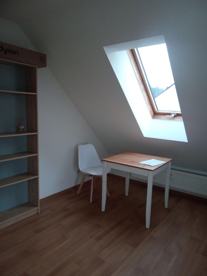 möblierte 1 Zimmer Wohnung Appartment mit Balkon Aussicht in Auerbach in der Oberpfalz