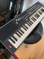 Hohner PK-60 Sampler Keyboard / Casio SK-100 selten Pankow - Prenzlauer Berg Vorschau