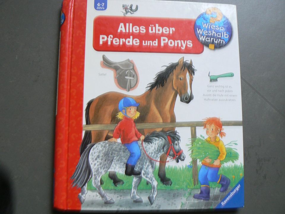 Wieso Weshalb Warum Alles über Pferde und Ponys in Bovenden