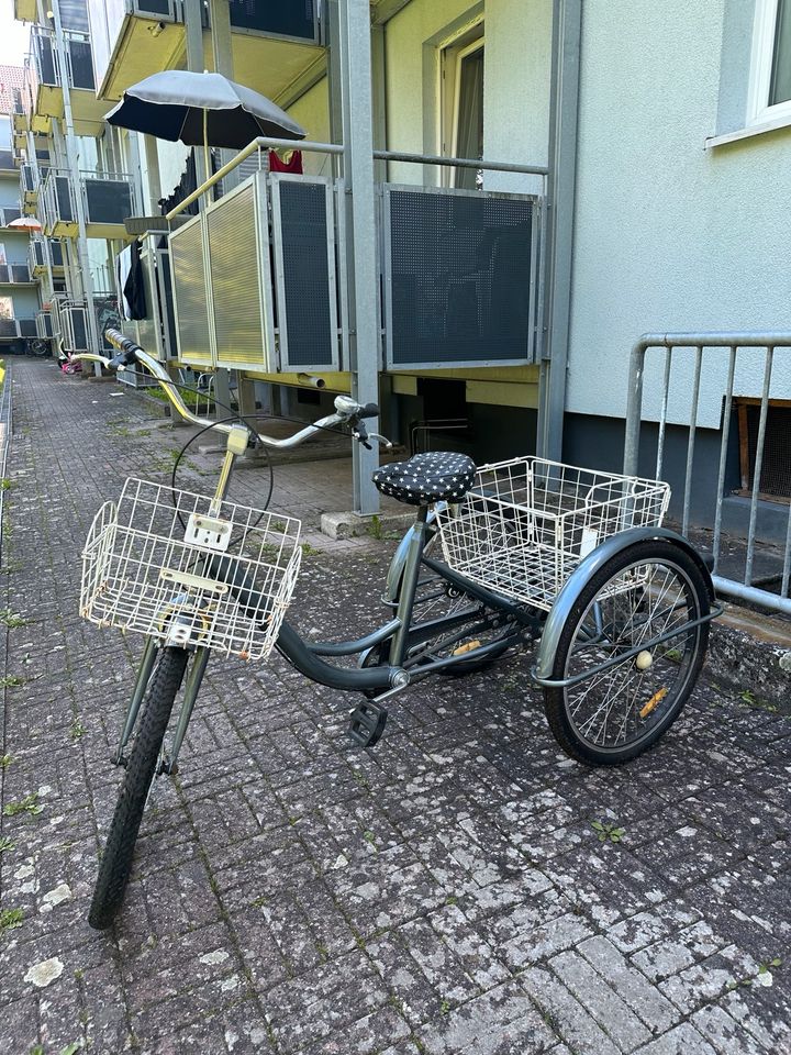 Fahrrad Dreirad grau Damen in Ulm