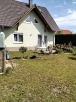 Gemütliches Haus mit großem Garten in Mahlsdorf zu vermieten Berlin - Mahlsdorf Vorschau