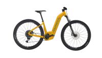 Advanced Offroad pro MTB Wave (L) SONDERPREIS! UVP:4499€ Rheinland-Pfalz - Saarburg Vorschau