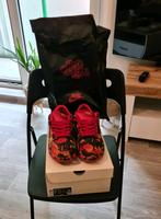 Nike SB dunk low x Wizard of OZ Brandenburg - Frankfurt (Oder) Vorschau