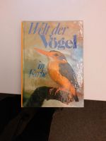 Vögel,Vögel,Ornithologie,Vogelkunde,NABU,Zoologie,Naturschutz, Hamburg-Mitte - Hamburg Altstadt Vorschau