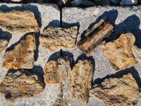 Fossiles versteinertes Holz Aquariumsteine Sachsen-Anhalt - Calbe (Saale) Vorschau