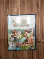 Story of seasons a wonderful life Niedersachsen - Syke Vorschau