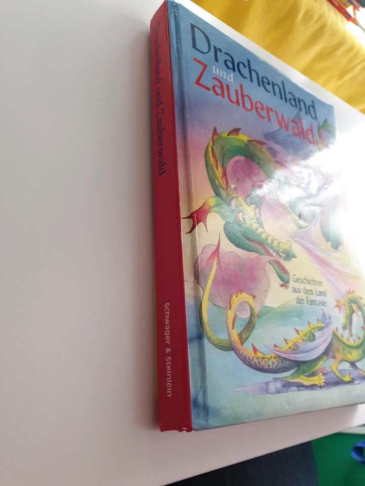 Drachenland und Zauberwald Buch Kinder in Kiel