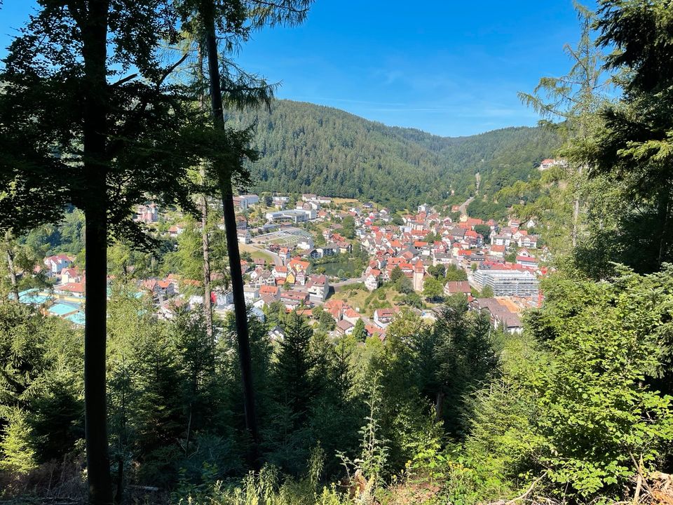 Wald, Wiese, Acker gesucht in und um Bad Liebenzell in Bad Liebenzell