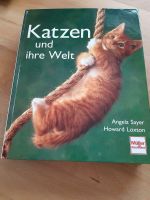 Katzen und ihre Welt Bayern - Raubling Vorschau