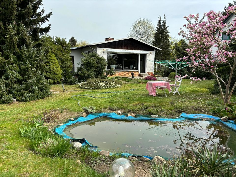 Großes Eckgrundstück mit hübschem Ferienhaus in Mahlsdorf-Süd in Berlin