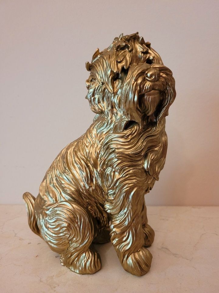 Figur Hund Labradoodle Goldfarbe Polyresin 23 cm NEU in Bissendorf