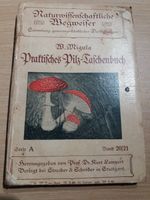 Praktisches Pilz Taschenbuch - W. Migula - Eisenach - 1910 Hessen - Pfungstadt Vorschau