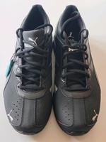 Sneaker PUMA Herren Tazon 6 Fm Laufschuhe Brandenburg - Potsdam Vorschau