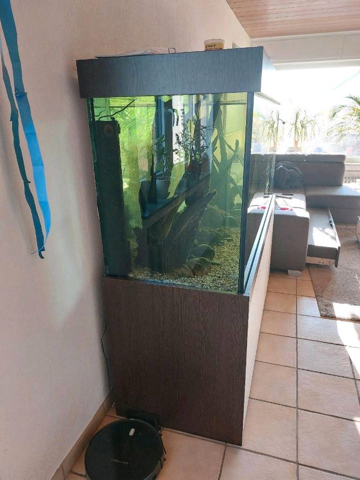 Aquarium 180x60x80 komplett + Zubehör in Oerlinghausen