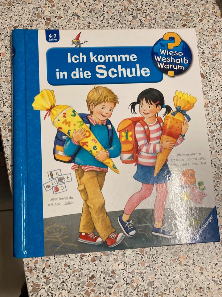 Ravensburger, XXL, Terzio, Oetinger Kinderbücher in Dreieich