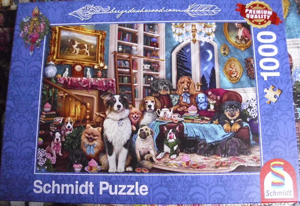 Schmidt Spiele Puzzle 59988, Brigid Ashwood, Party in der Bibliot in Wathlingen