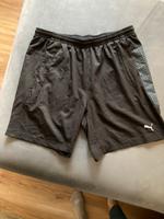 Puma Herren Shorts Bayern - Neuburg am Inn Vorschau