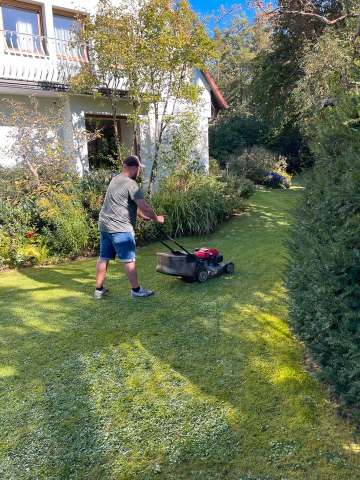 Gartenarbeit & Gartenpflege, Unkraut entfernen, Heckenschnitt in Nürnberg (Mittelfr)