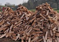 Feuerholz [Nadelholz, Hartholz, Birke] Sachsen - Rothenburg Vorschau