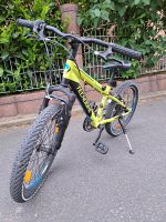 20 kinder fahrrad Sachsen - Schkeuditz Vorschau