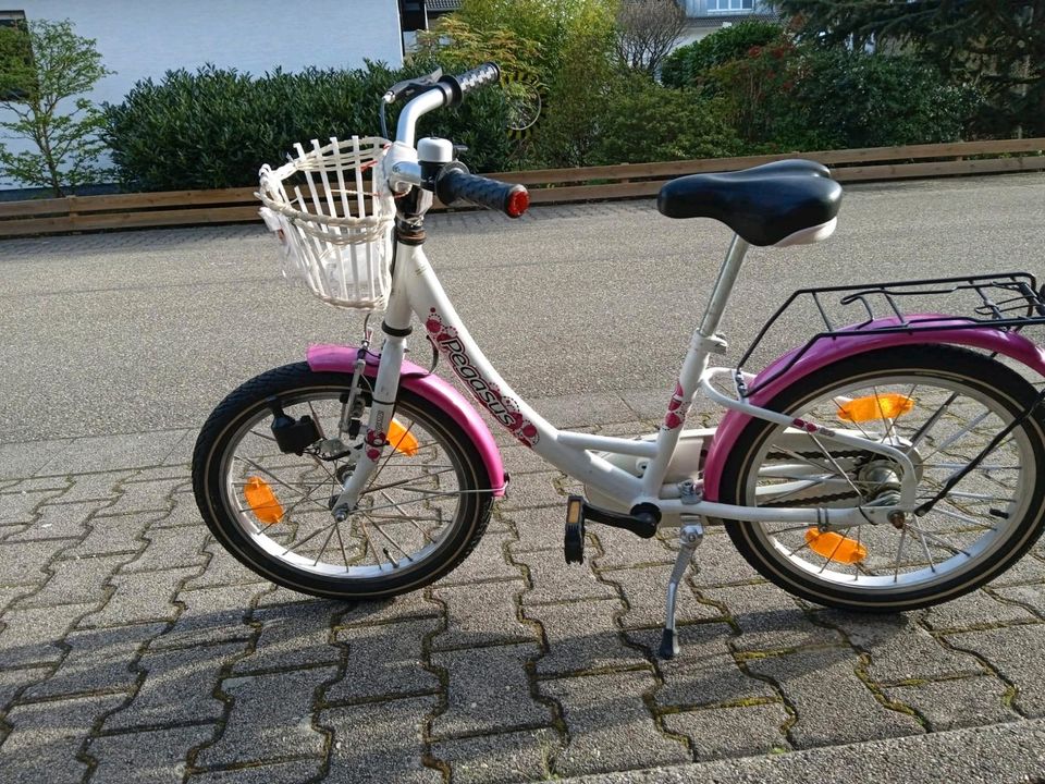 Kinder/Mädchen Fahrrad von Pegasus in Rastatt