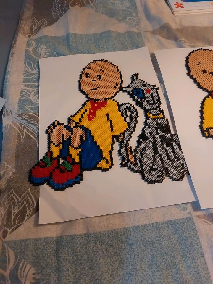 Caillou Fan Paket in Hamburg