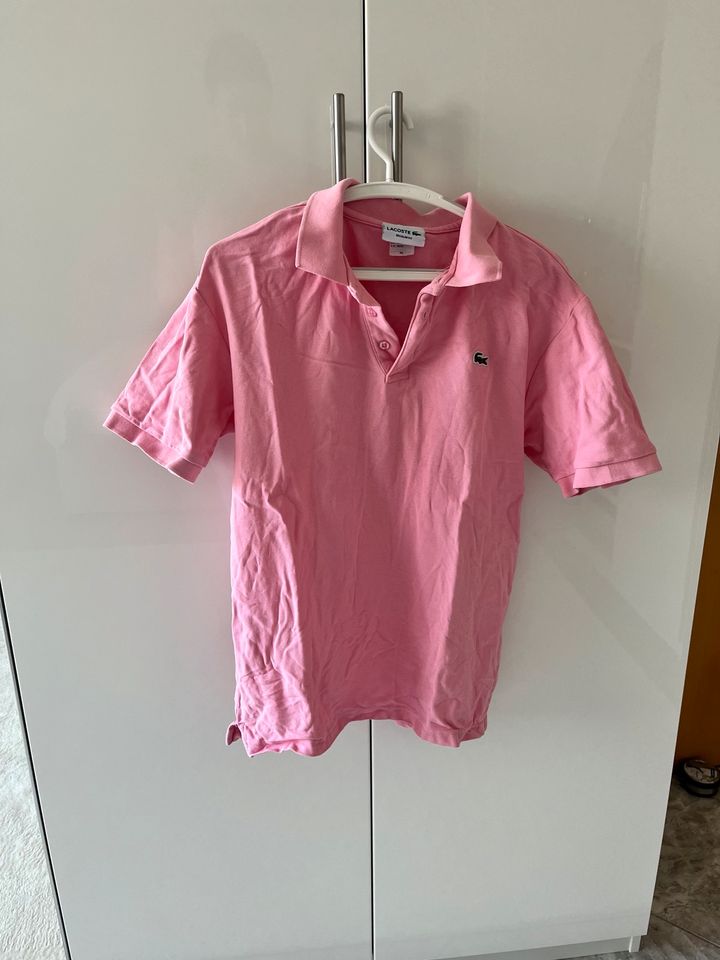 pinkes Poloshirt in Pohlheim