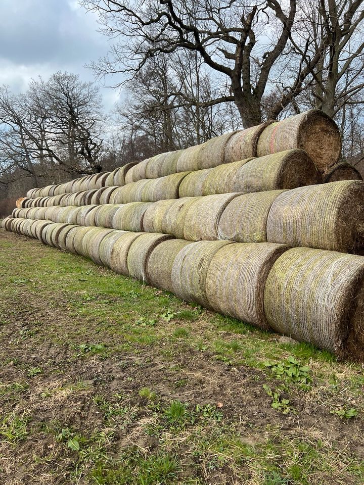 Heu in Rundballen draußen gelagert unter Fli Rinder Schafe Ziegen in Ahrenshagen-Daskow