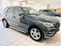 Mercedes ML 350cdi Verkauf oder Tausch Mecklenburg-Vorpommern - Boizenburg/Elbe Vorschau